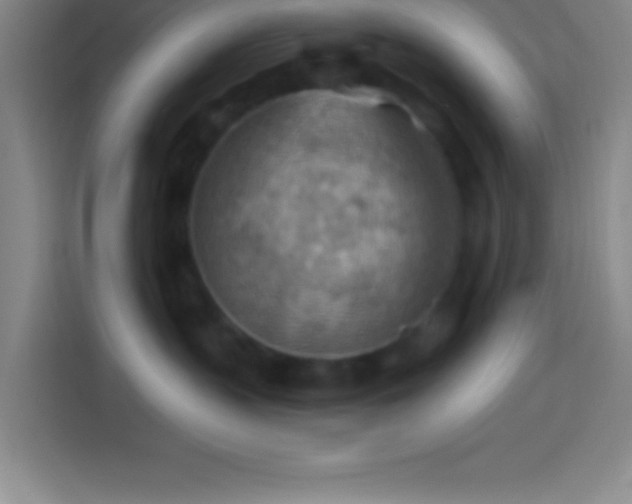 X0000113900383200910011347