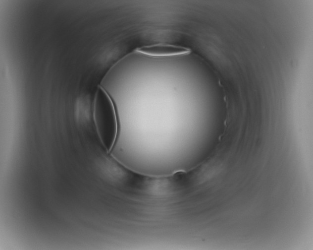 X0000113900384200910011347