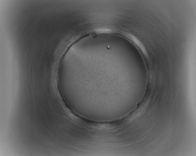 X0000113900385200910011347