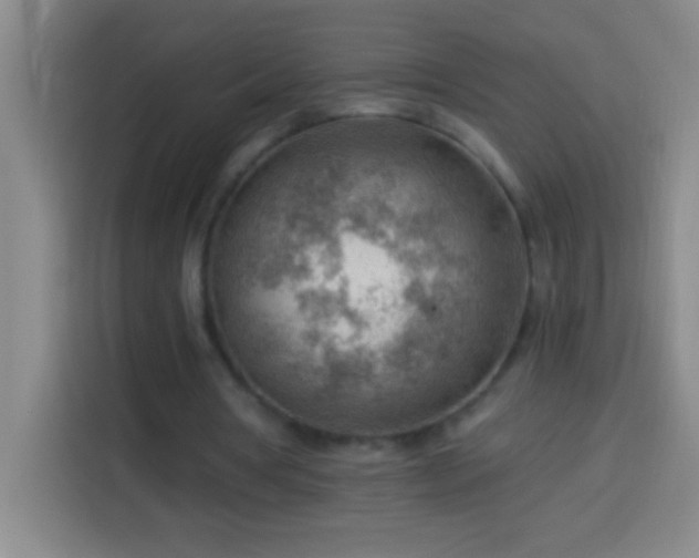 X0000113900386200910011347