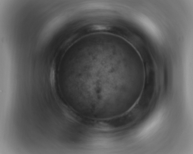 X0000113900387200910011347