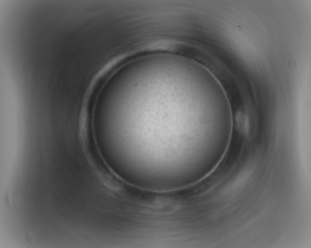 X0000113900388200910011347