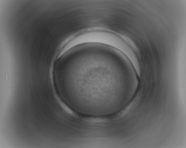 X0000113900389200910011347