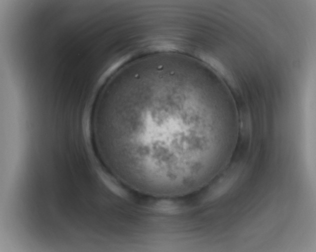 X0000113900390200910011347