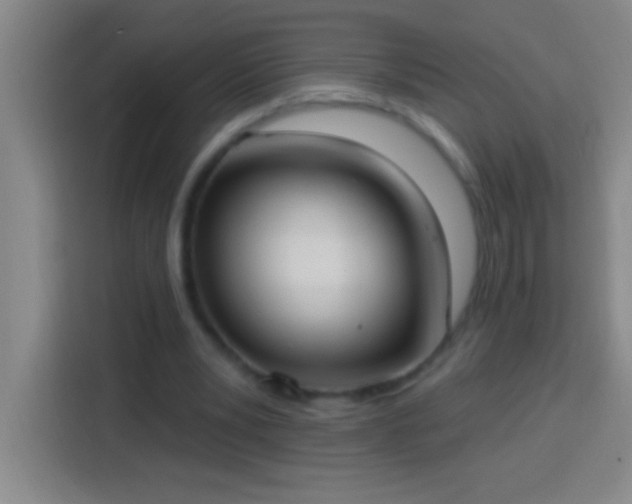 X0000113900391200910011347