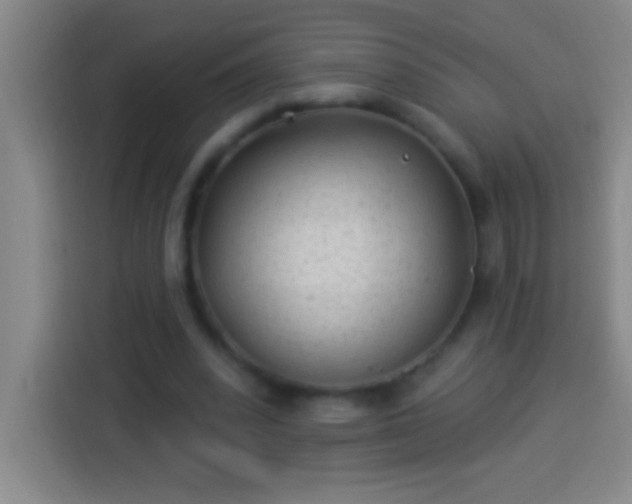 X0000113900392200910011347