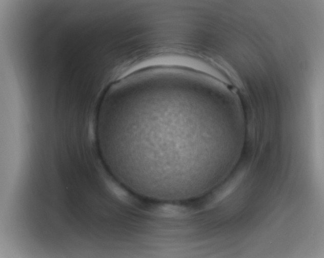 X0000113900393200910011347