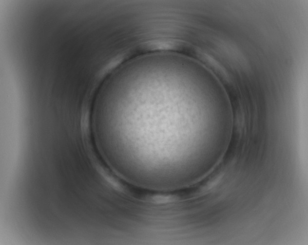 X0000113900394200910011347