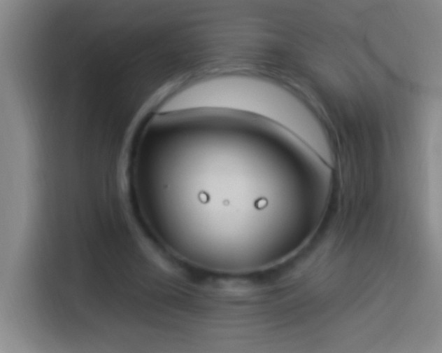 X0000113900395200910011347