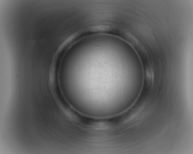 X0000113900396200910011347