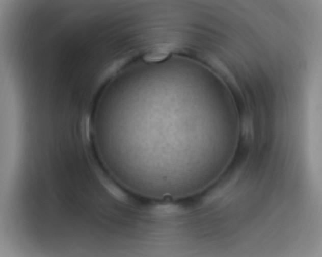 X0000113900397200910011347