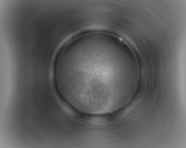 X0000113900399200910011347