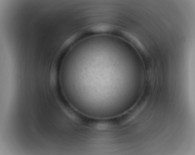 X0000113900400200910011347