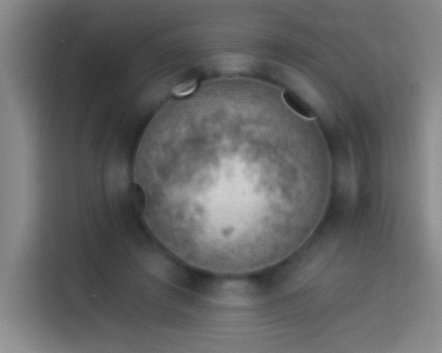 X0000113900401200910011347