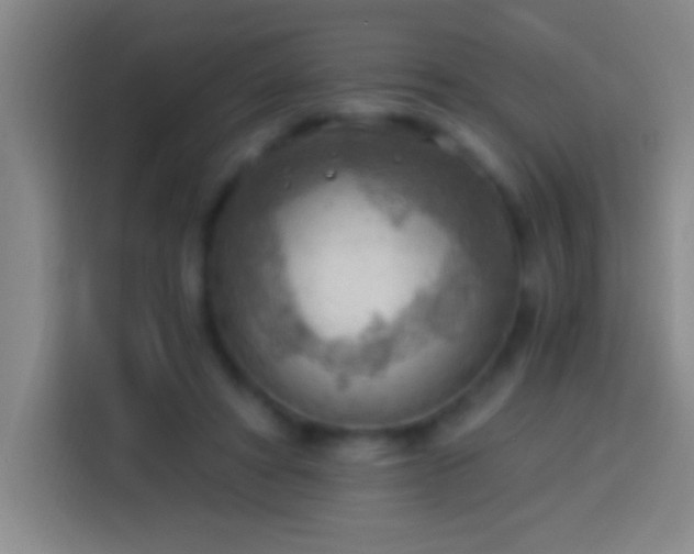 X0000113900402200910011347