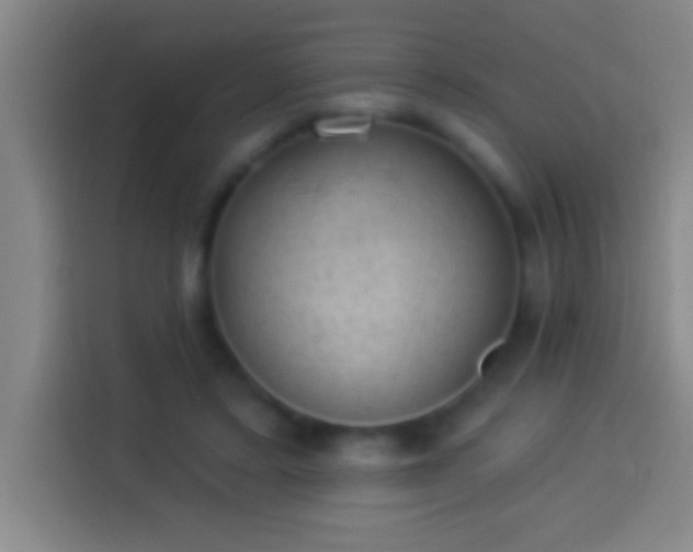 X0000113900403200910011347