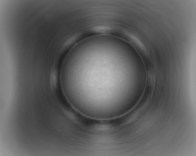 X0000113900404200910011347