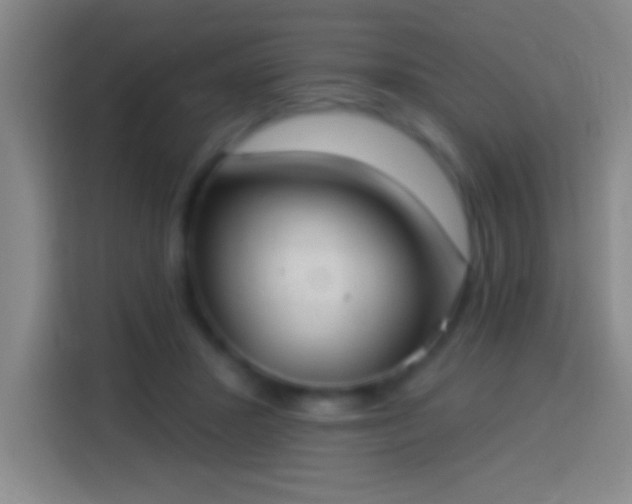 X0000113900407200910011347