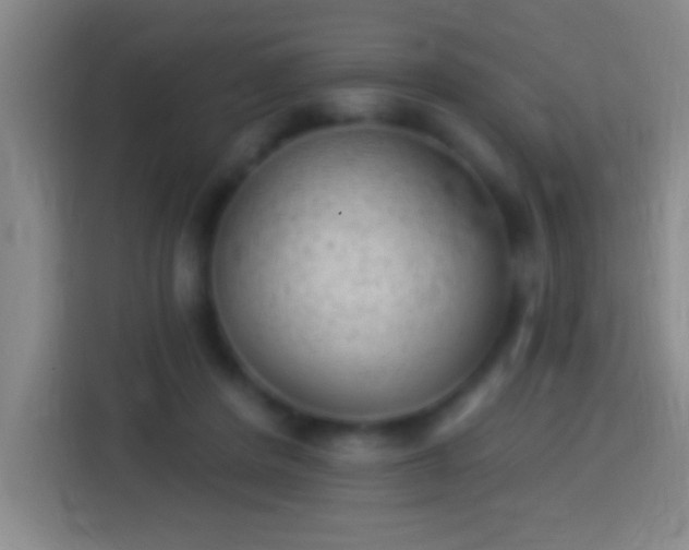 X0000113900408200910011347