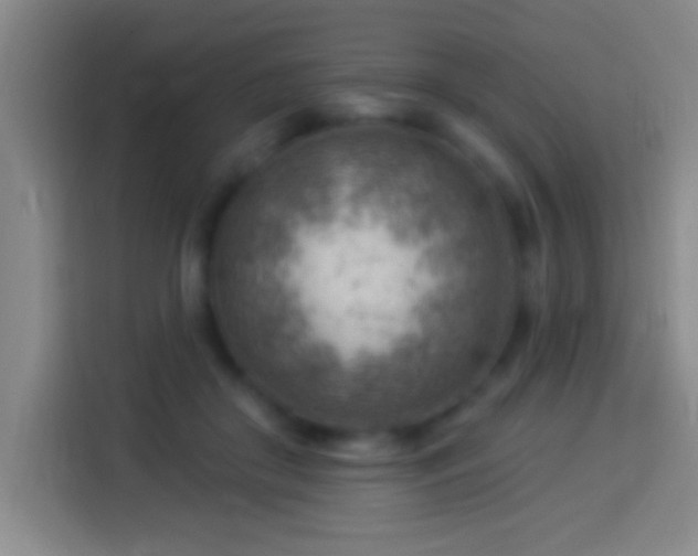 X0000113900410200910011347