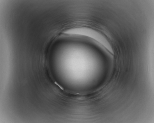 X0000113900411200910011347