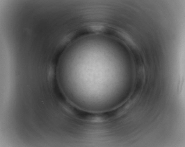 X0000113900412200910011347