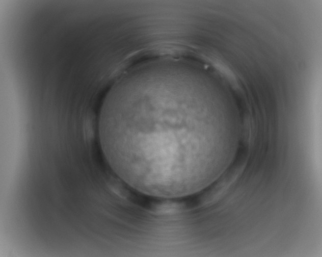 X0000113900413200910011347