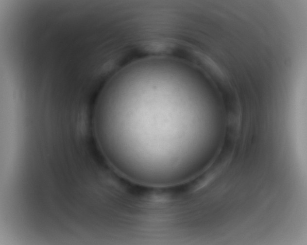 X0000113900416200910011346