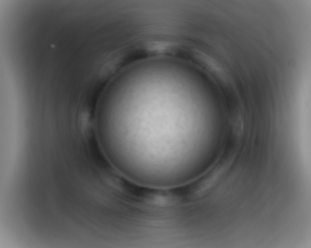 X0000113900420200910011346