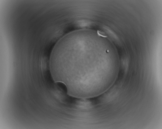 X0000113900421200910011346