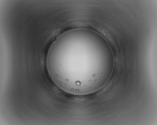 X0000113900423200910011346