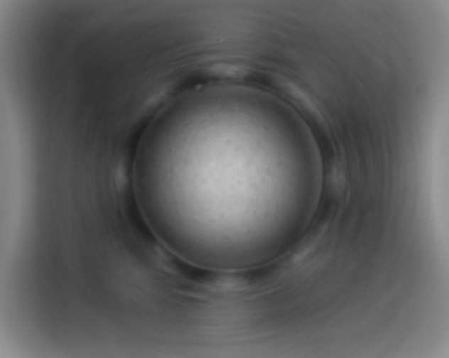 X0000113900424200910011346