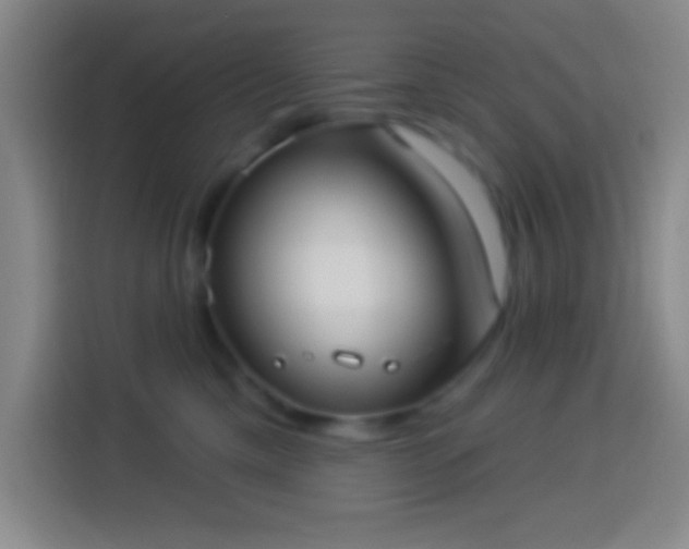 X0000113900425200910011346