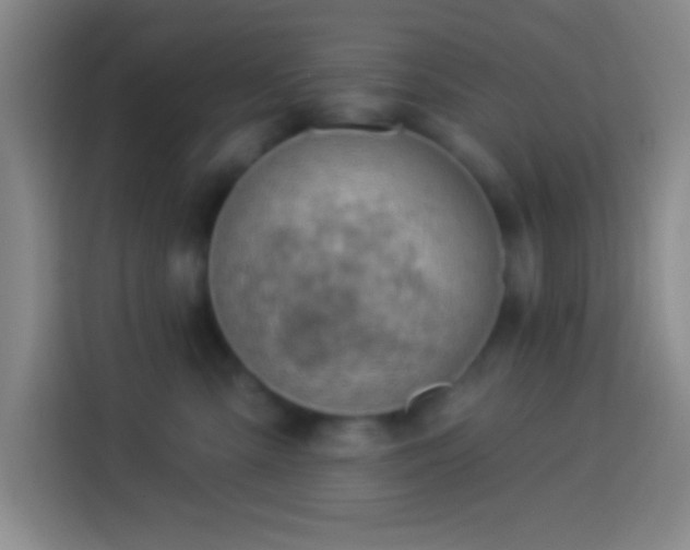 X0000113900427200910011346