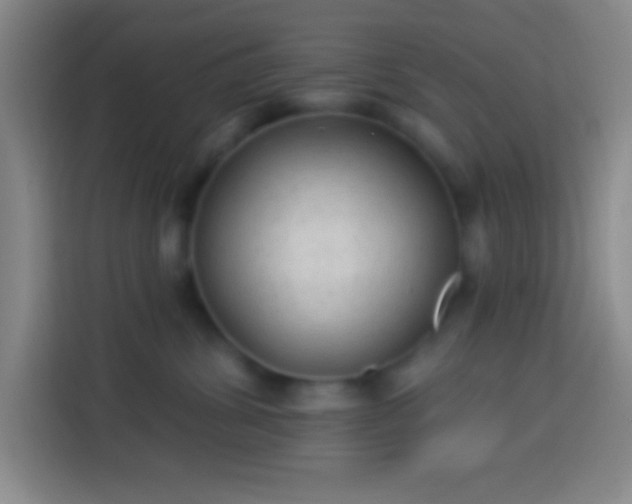 X0000113900428200910011346