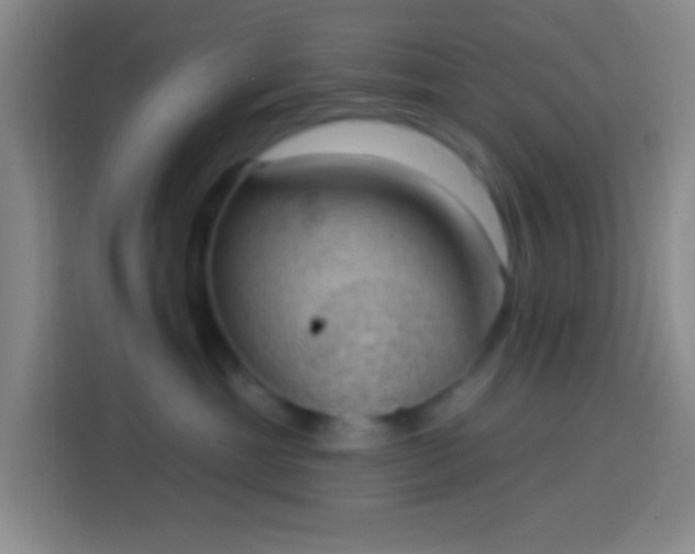 X0000113900429200910011346