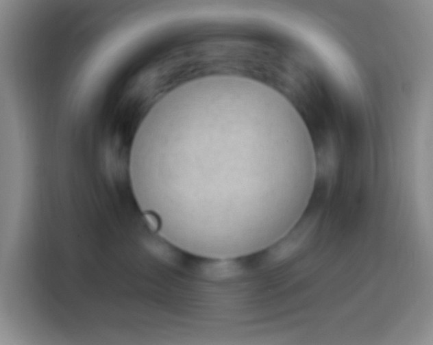 X0000113900431200910011346