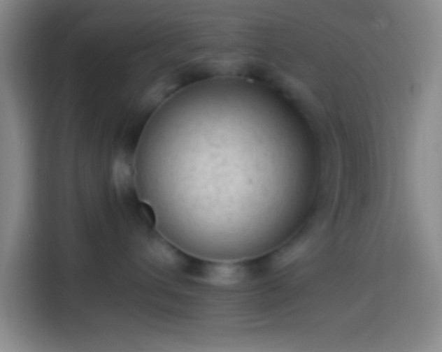 X0000113900432200910011346