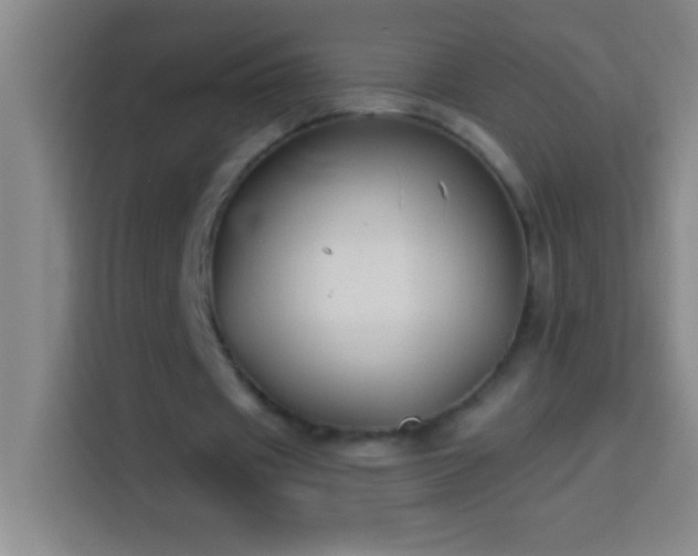 X0000113900433200910011346