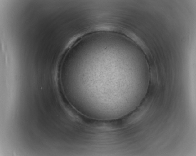 X0000113900434200910011346