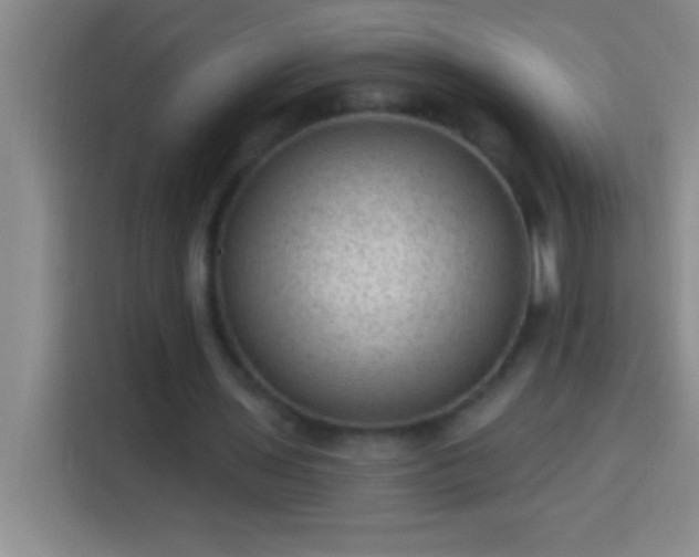 X0000113900435200910011346