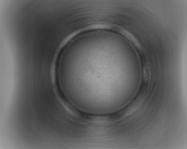 X0000113900436200910011346