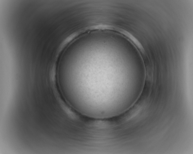 X0000113900437200910011346