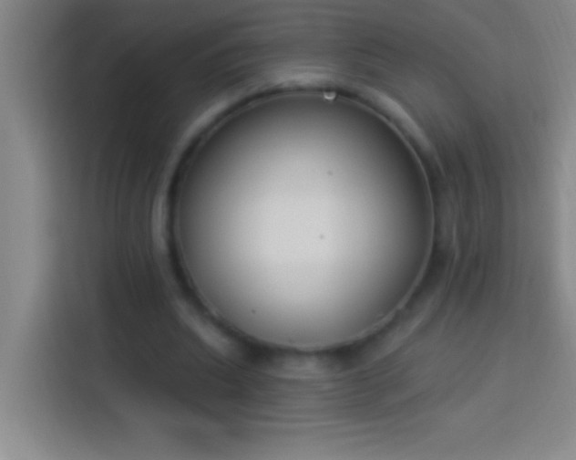 X0000113900439200910011346