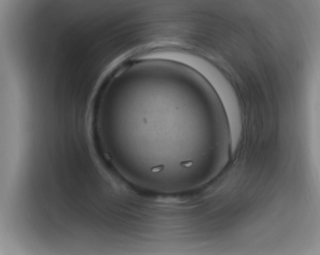 X0000113900440200910011346