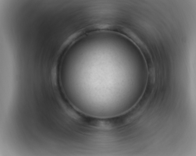 X0000113900442200910011346