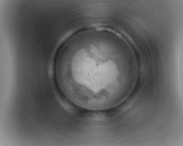 X0000113900443200910011346