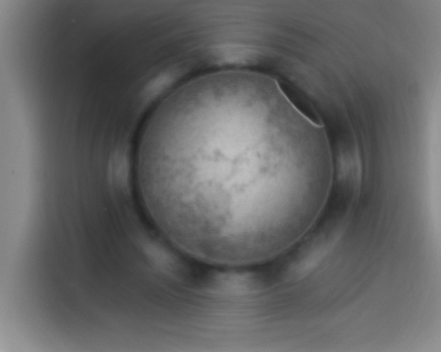 X0000113900444200910011346