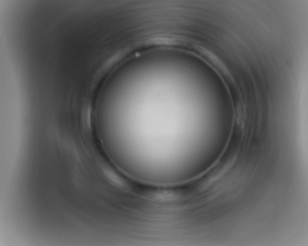 X0000113900445200910011346