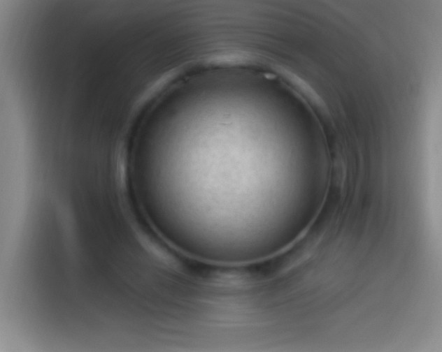 X0000113900446200910011346